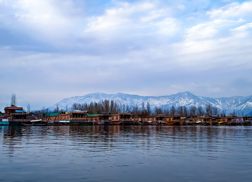 kashmir