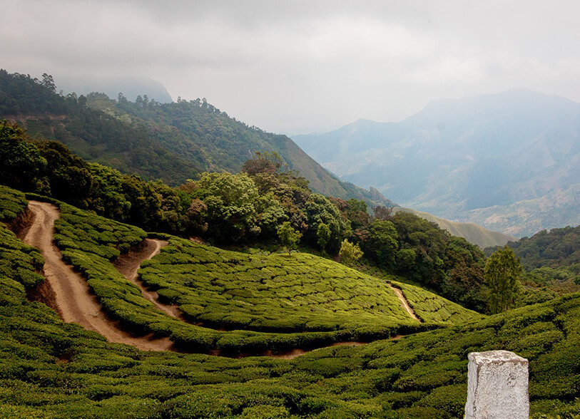 kerala