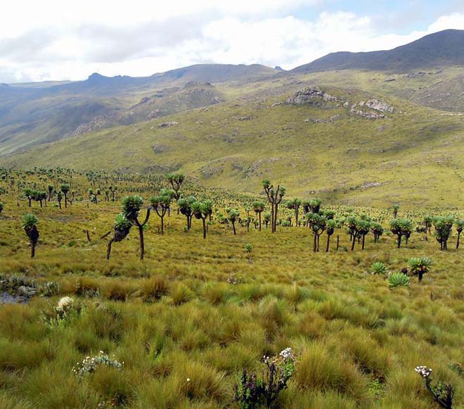 Aberdere National park