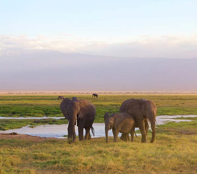 Amboseli National Park