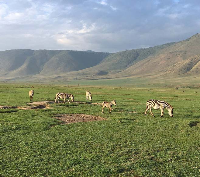 Arusha Natioanl Park