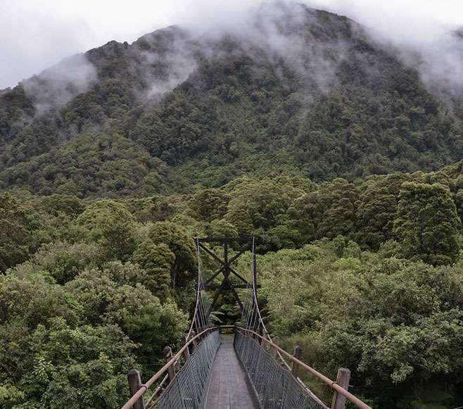 New Zealand