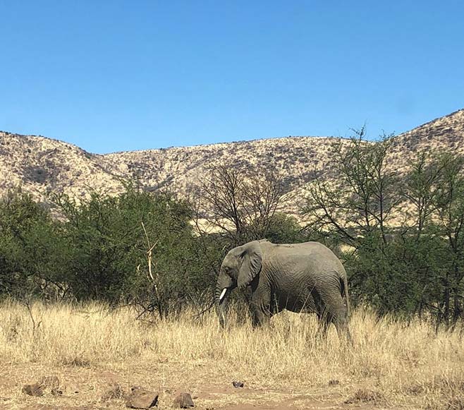 Pilanesburg National park