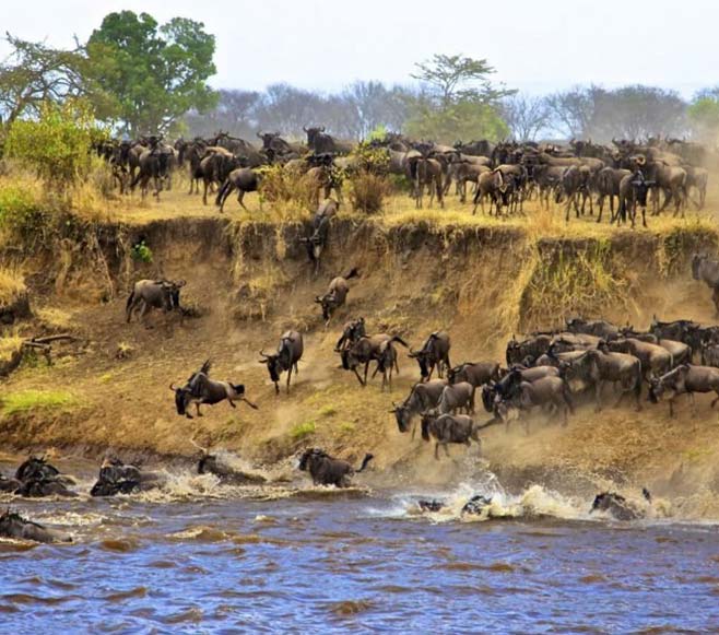 Serentegi national park