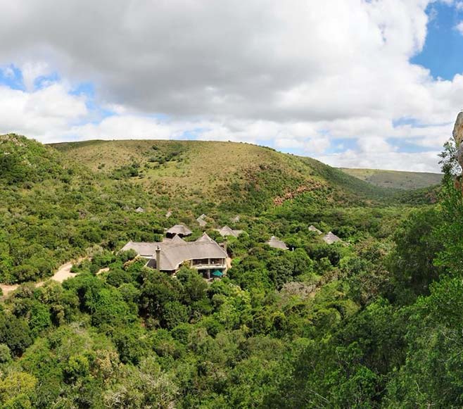 Shamwari Game reserve