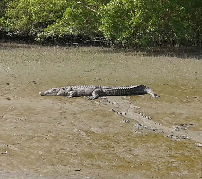 Sundarbans National Park