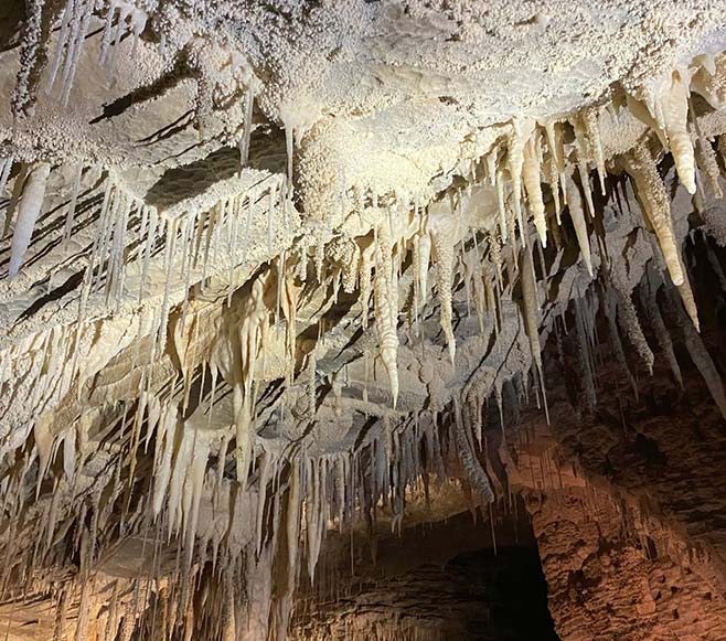 Waitomo Glowworm Cave