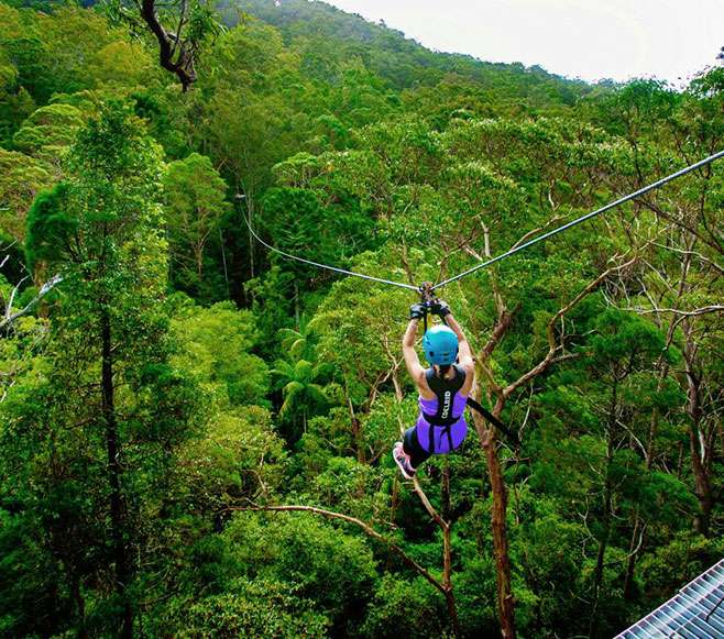 Zip lining in gold coast